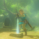 The Legend Of Zelda: Breath Of The Wild (Screenshot: Nintendo)